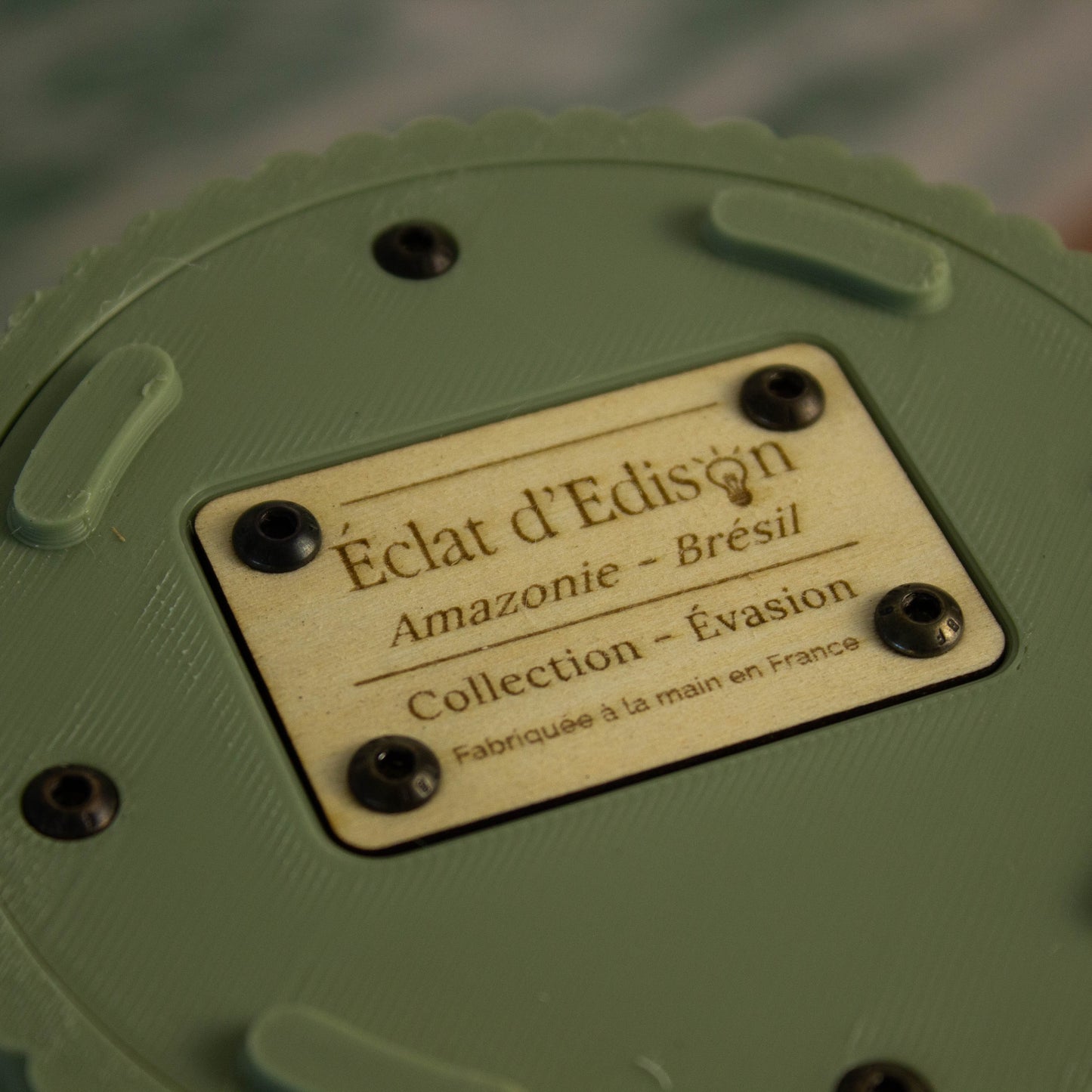 Amazonie – Brésil